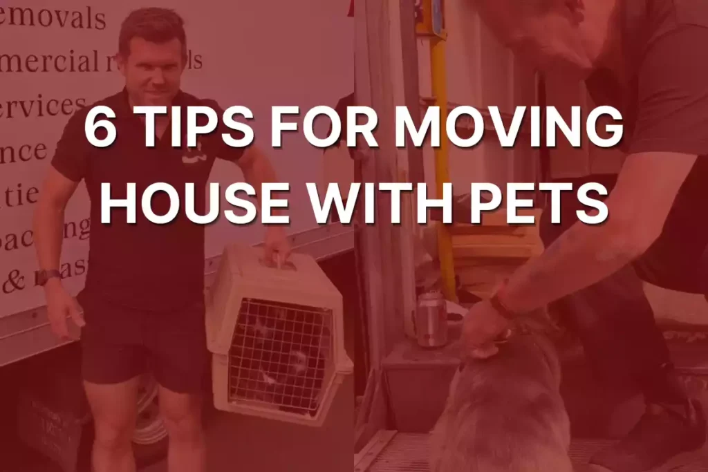 6 Tips For Moving House with Pets