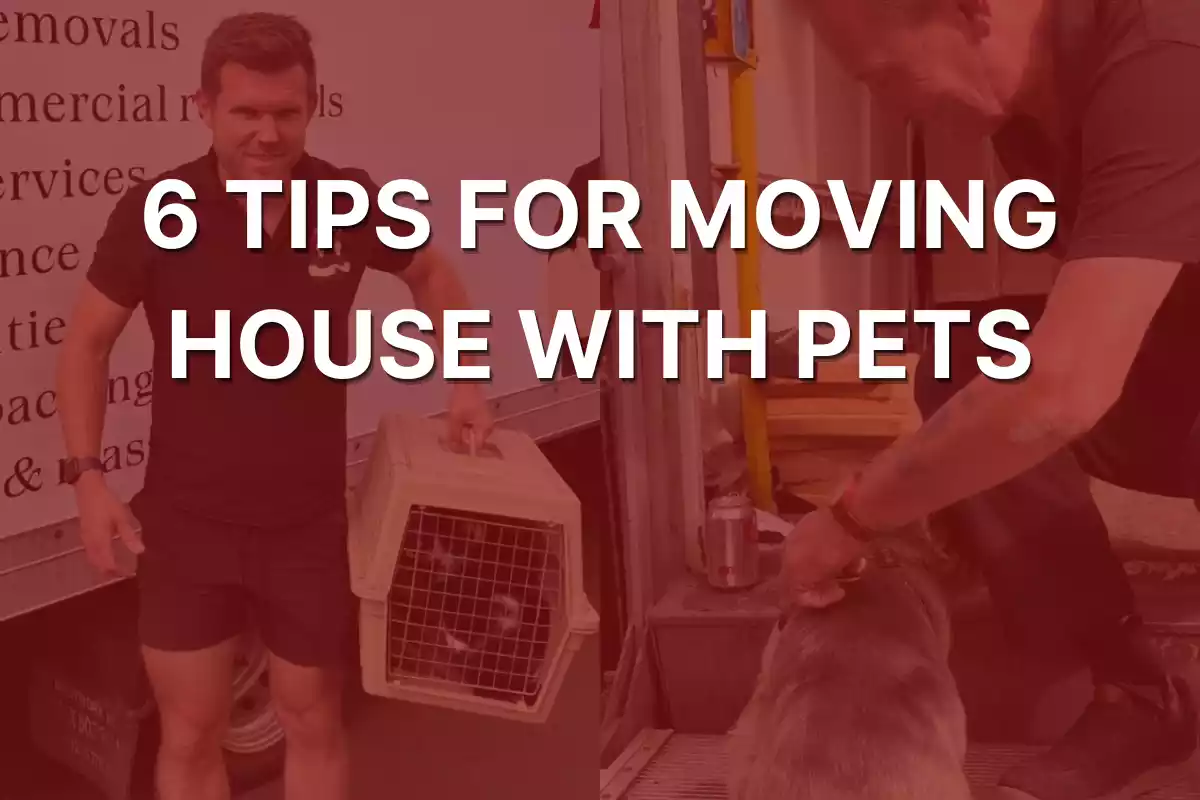 TIPS-for-moving-house-with-pets